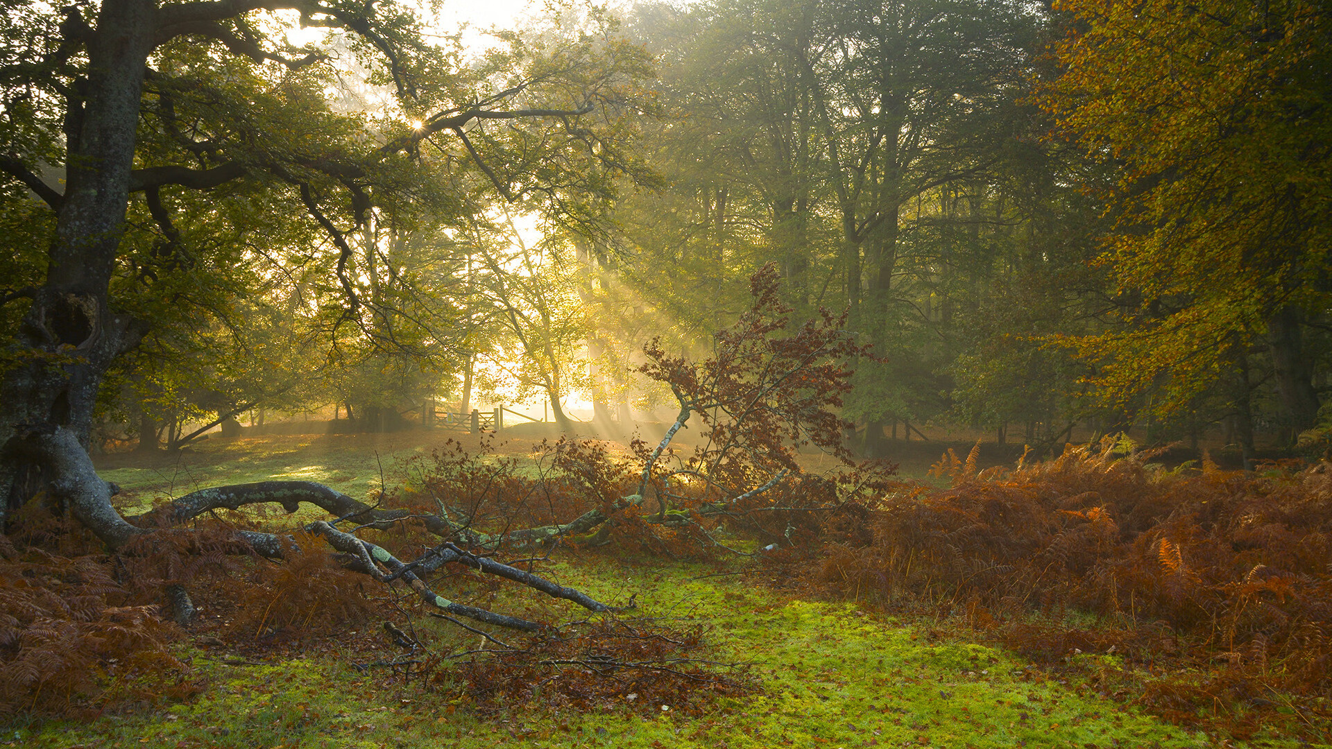 《英雄联盟洲际赛，战术博弈异常激烈》，lol洲际赛rw对战kz