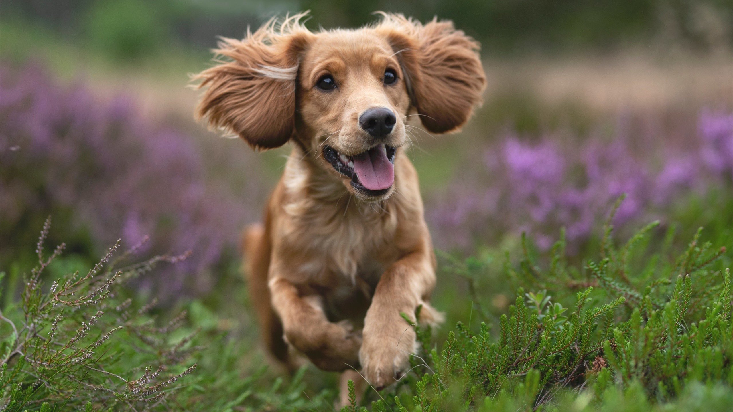 【马克·塞尔比】用坚韧铸就“钢铁防线”的心路历程,马克塞尔比训练