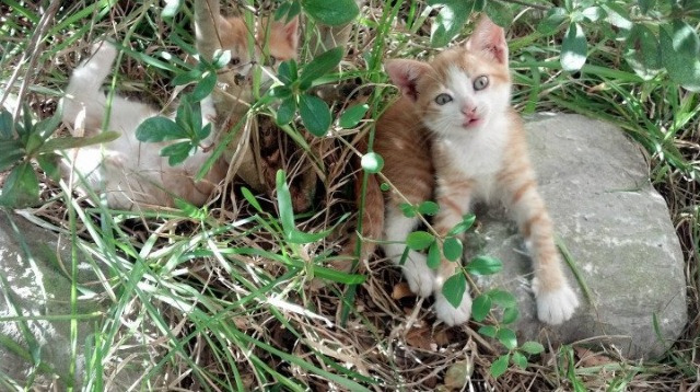 【马克·塞尔比】用坚韧铸就“钢铁防线”的心路历程,马克塞尔比训练