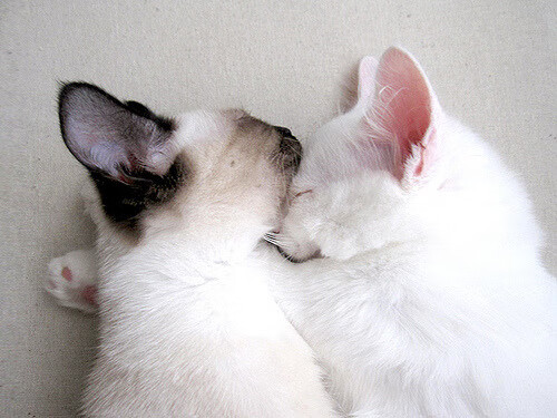 【逆境应对】丁俊晖如何在比赛中灵活调整战术?,丁俊晖改变打法