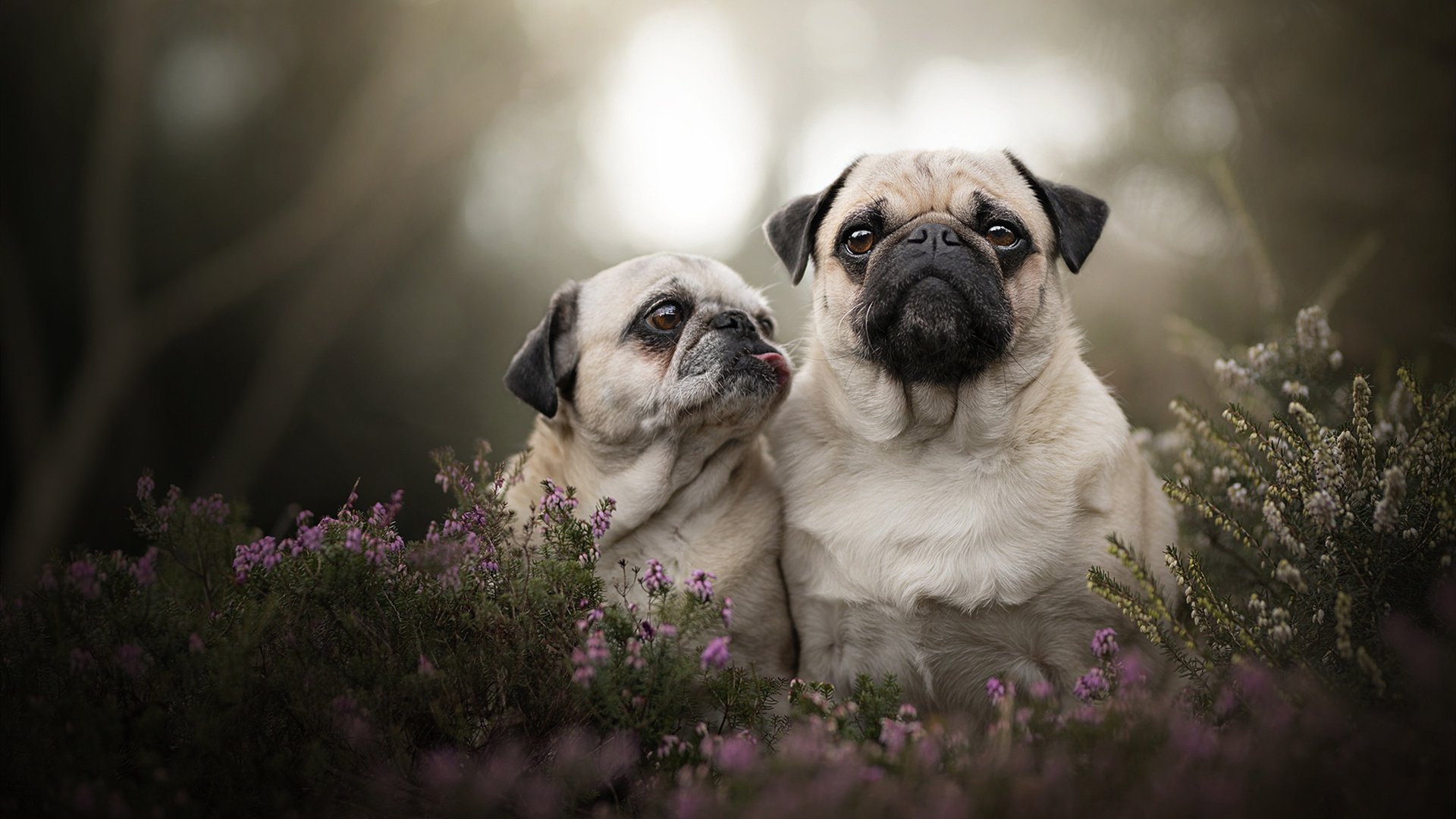 开云网页版登录入口-全国青少年“青训救援行动”在边远地区持续推进，助力体育扶贫