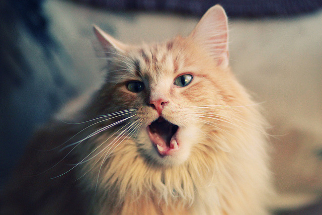 夜光漂移赛,炫彩灯火中的极速漂移,夜光漂怎么制作方法