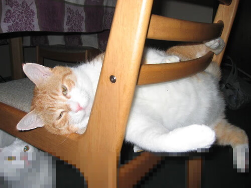 太阳主教练:三后卫体系让我们更具进攻多样性,2021太阳主教练