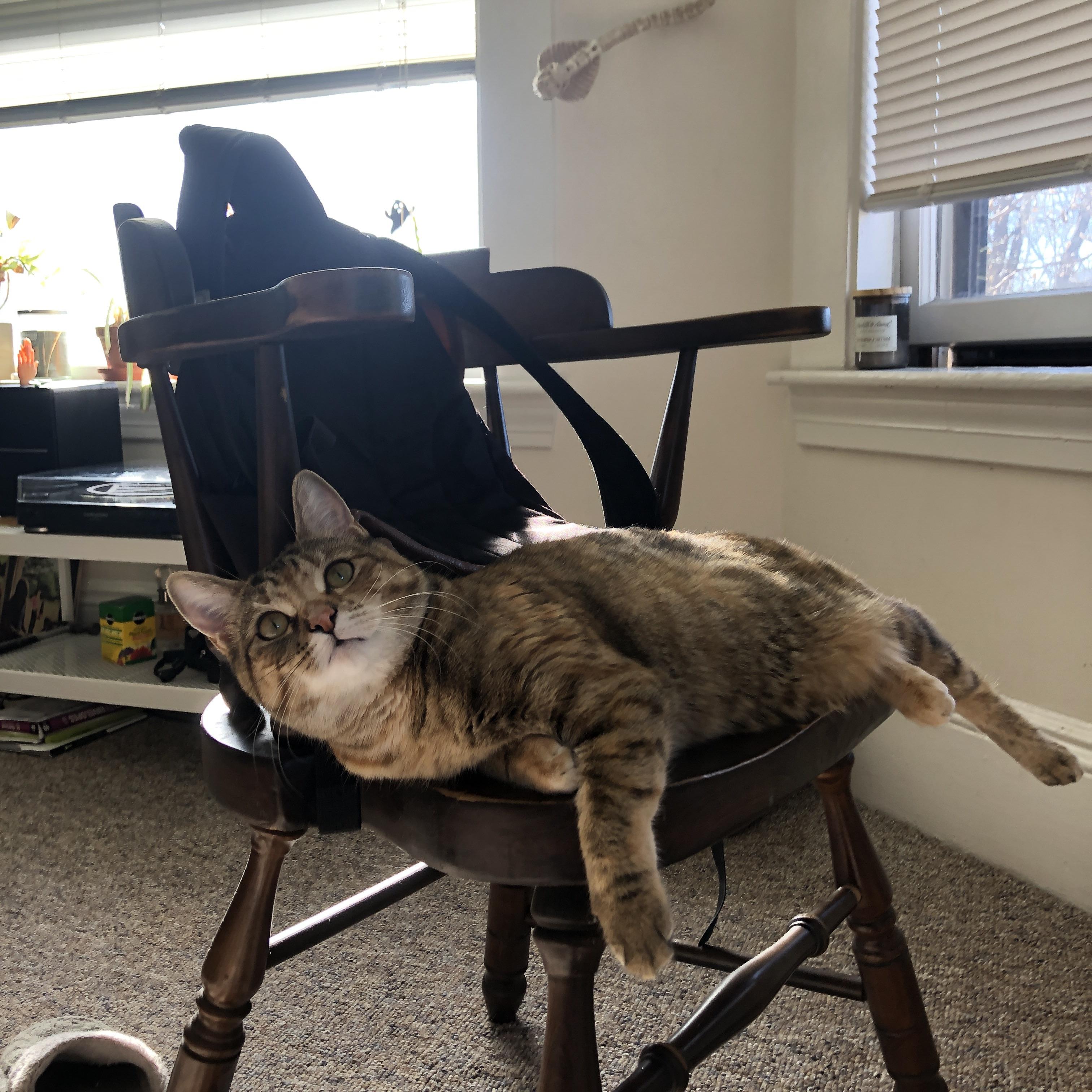 德甲巨头补强阵容,迎来价值千万级引援,德甲强队