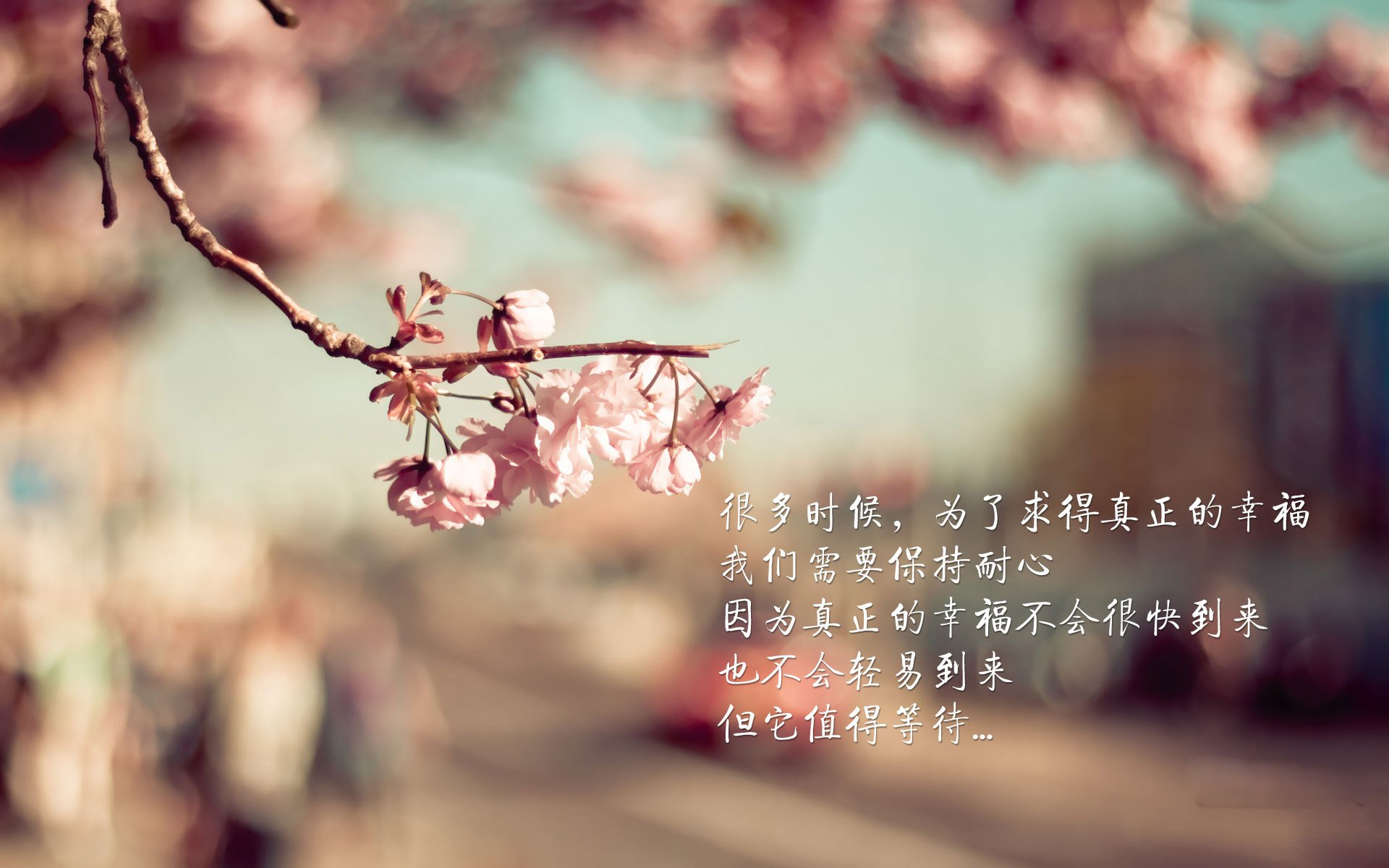 梅赛德斯车队在新加坡大奖赛中表现强劲,梅赛德斯演出