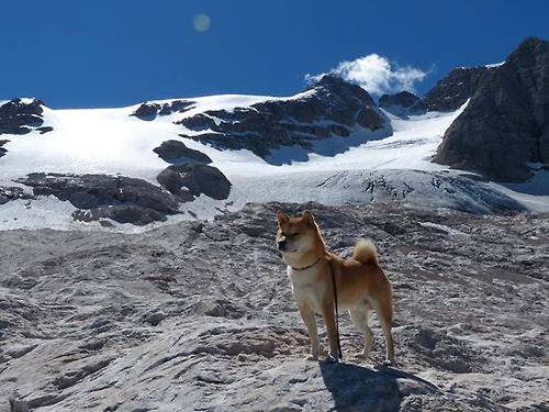 李明全场全面表现,砍下30+,成为本场MVP!,李明集锦