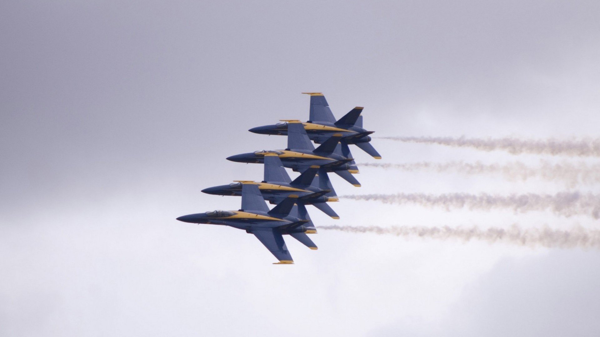 开云·体育官网-海洋生态潜水大赛，深海奇观尽收眼底，潜水海底世界海洋生物视频