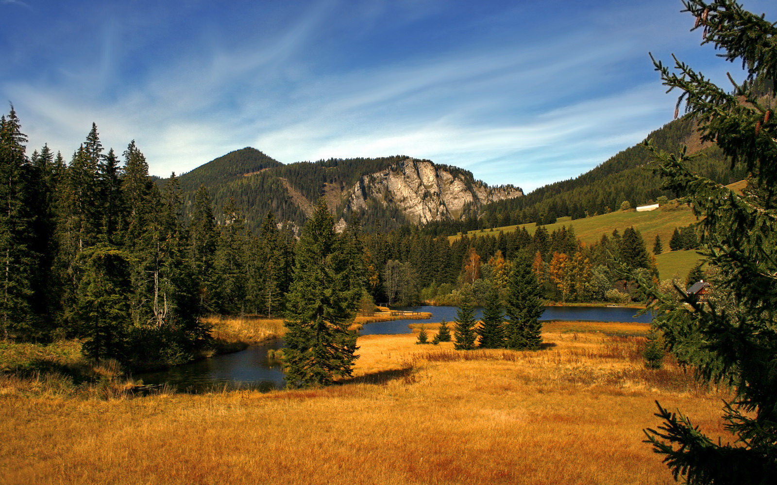 篮球明星公益活动覆盖面持续扩大,公益篮球赛