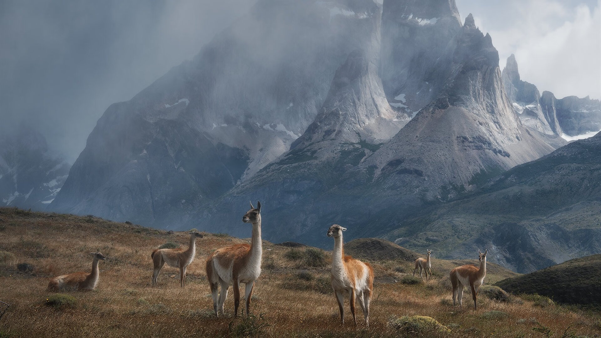 KAIYUNAPP-科比在总决赛中的“神瞬间”，永远铭刻人心！，科比总决赛高光时刻