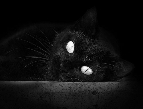 科比在总决赛中的“神瞬间”,永远铭刻人心!,科比总决赛高光时刻