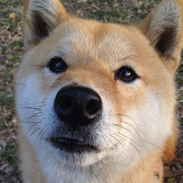 足球精英联赛举办地逐步向二三线城市拓展,足球精英青训