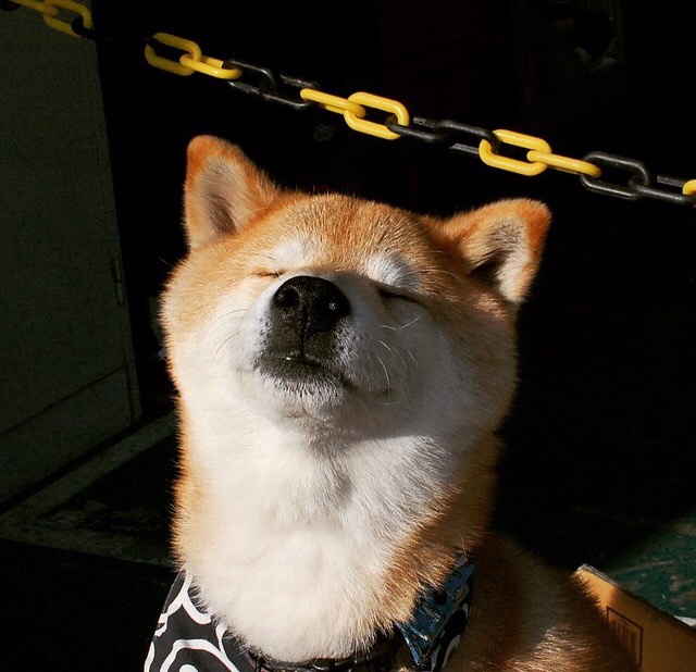 骑士与主场周边商户合作推出“城市篮球嘉年华”,骑士主场球馆