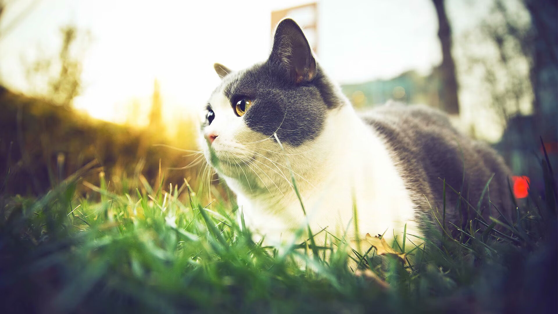 RNG年轻选手晋升主力阵容,rng选手年龄表