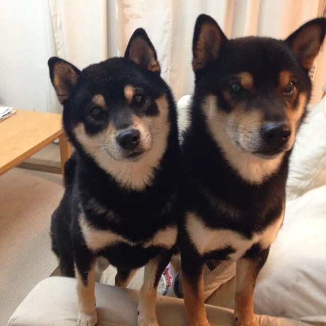 RNG年轻选手晋升主力阵容,rng选手年龄表