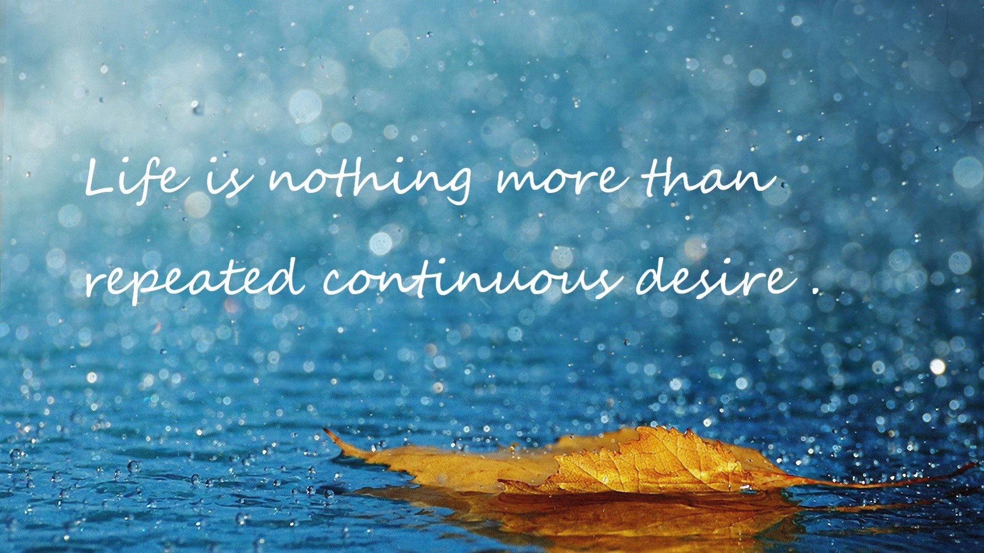 上海海港连续多场保持零封,上海诲港