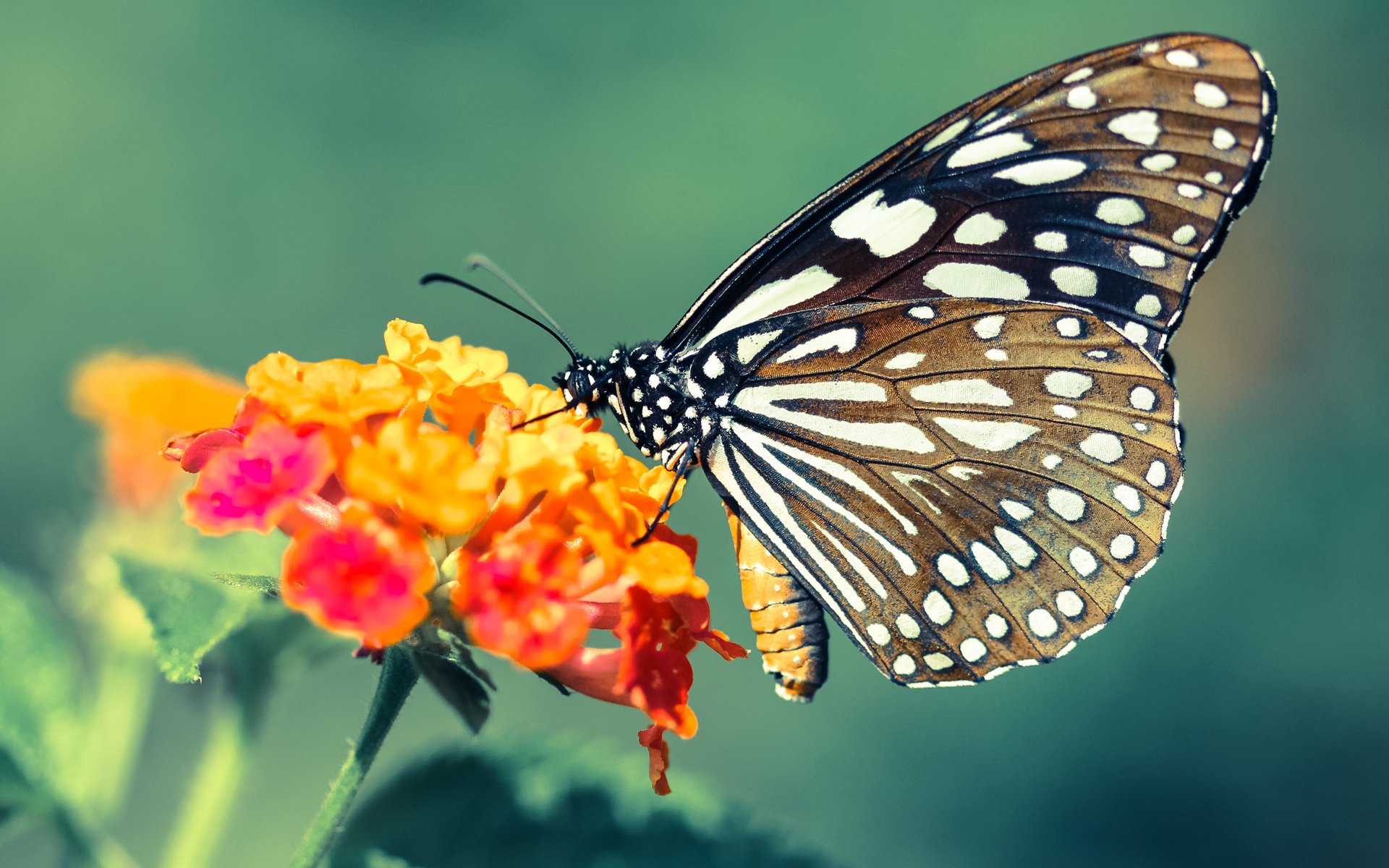 中超官方发布球员社交行为规范,中超球员留言