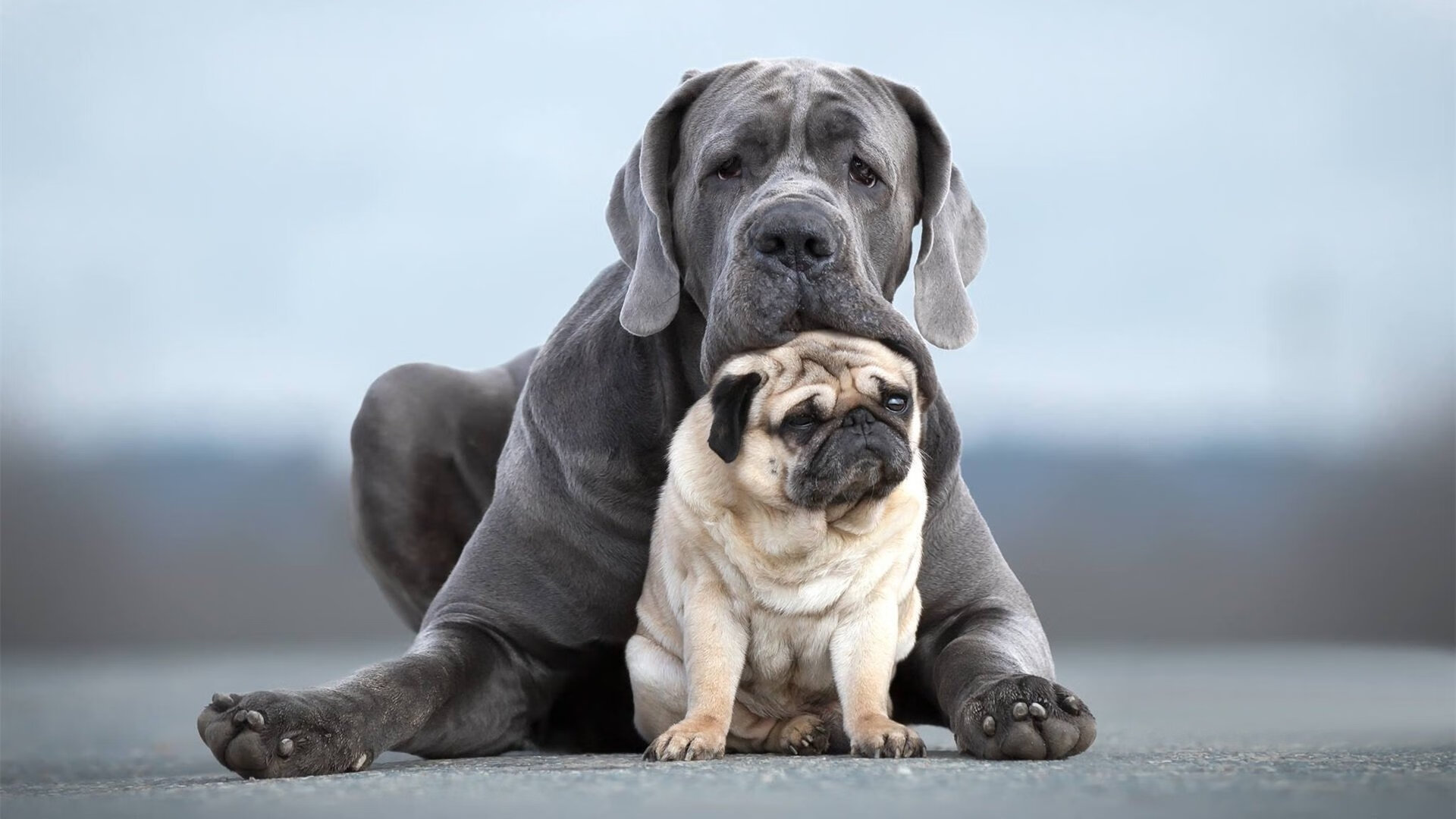 开云平台-克罗地亚队击败欧洲国家联赛对手，展现实力，克罗地亚阵容欧洲杯