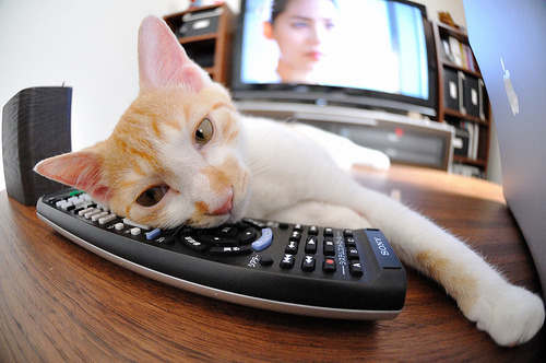 俄罗斯运动员将参加杭州亚运会?中方回应,俄罗斯运动员入场