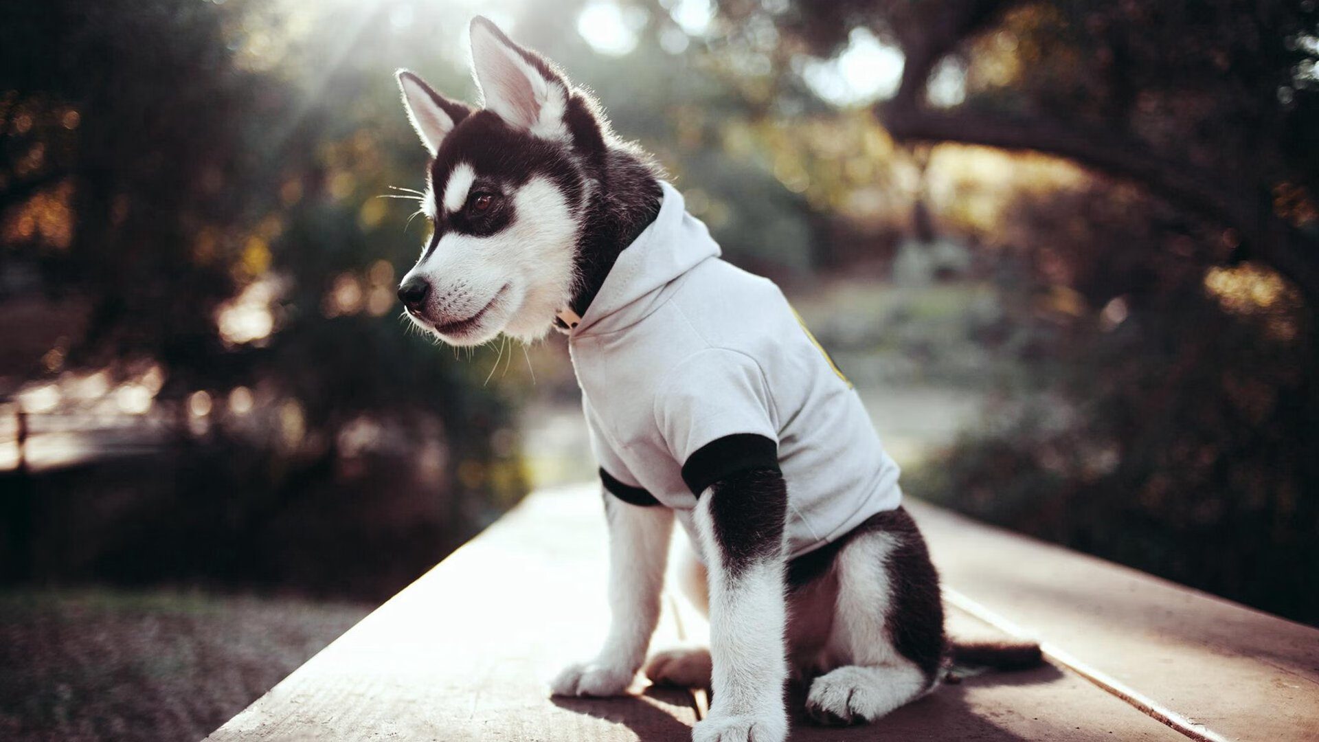 利物浦主教练透露球队备战策略,球员需做好准备,利物浦教练叫什么