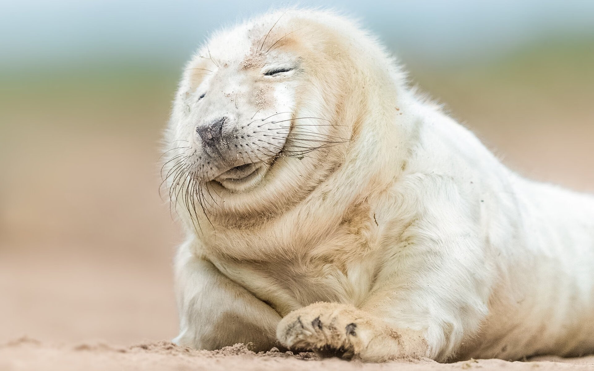 开云官网-利亚斯主场告捷，继续在西甲联赛中拼搏，利亚斯沙发官方旗舰店