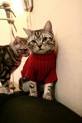 利物浦在足总杯中止步四分之一决赛,利物浦足球比赛